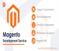 Magento Development Services India